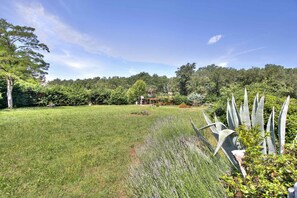 A grassy field with a gazebo, surrounded by trees and various plants.