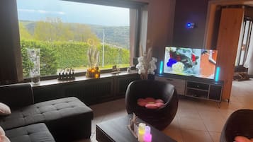 Älytelevisio, takka, DVD-soitin, kirjoja