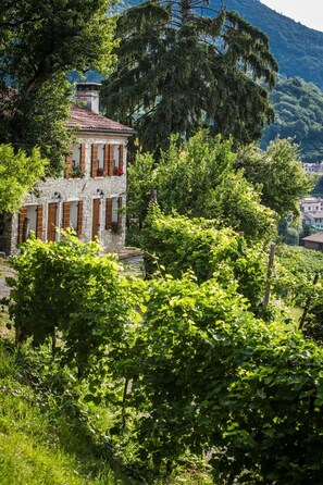 A stone building with red shutters and a small tower, surrounded by lush greenery and vineyards.