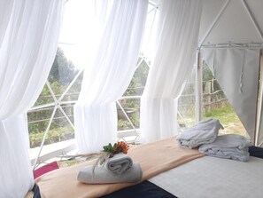 Cabane Deluxe, vue montagne