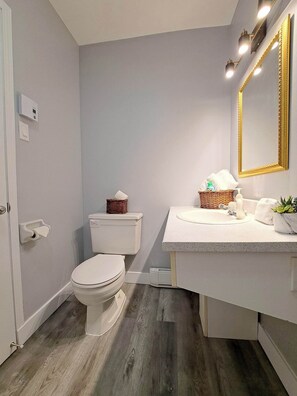 Hair dryer, towels, soap, shampoo - Confortable logement à petit prix comme à la maison (Sainte-Anne-de-Beaupré)