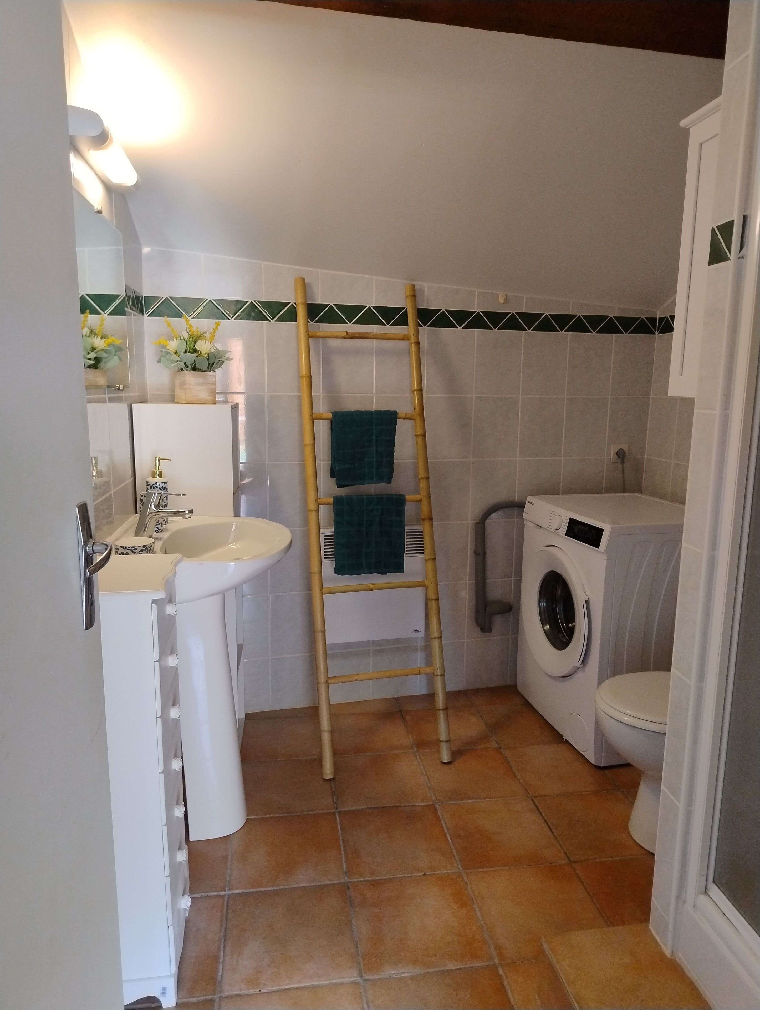 Une petite salle de bain comprenant un lavabo, des toilettes et un lave-linge. Une échelle en bois est adossée au mur.