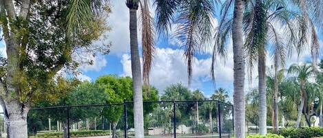 Terrain de sport