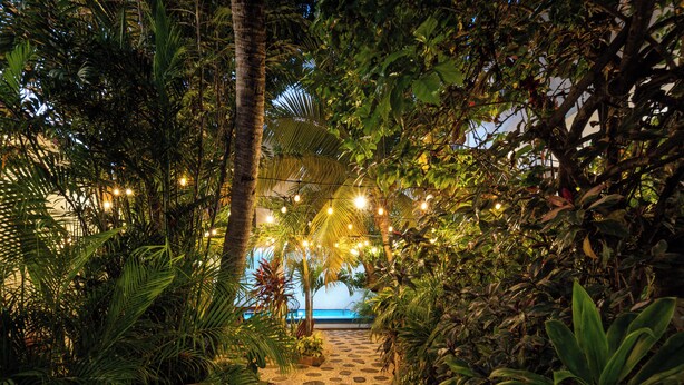 A pathway leading to a beach, surrounded by lush greenery and palm trees, with string lights illuminating the path. - HOTEL CARACOL ISLA MUJERES (Isla Mujeres)