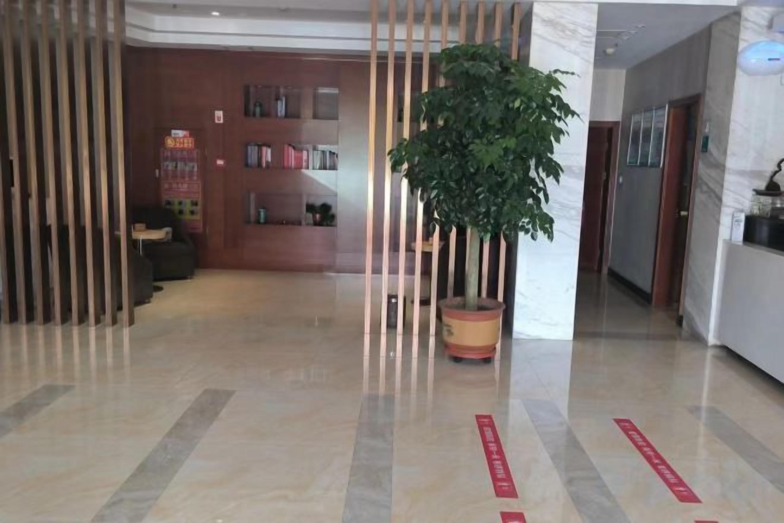 Un vestíbulo con mostrador de recepción, una planta en maceta y una estantería.