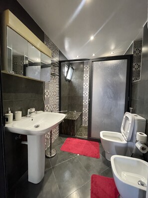 Shower, hair dryer, towels