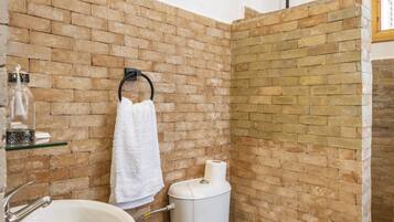 Ducha, secador de pelo, toallas, shampoo