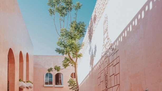 A serene courtyard with a pool, a hammock, and lush greenery. - Casa Amate 61 - Mérida Centro (Mérida)