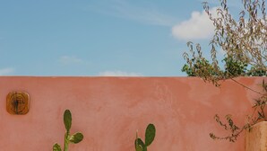 Three potted cacti against a pink wall. - Casa Amate 61 - Mérida Centro (Mérida)