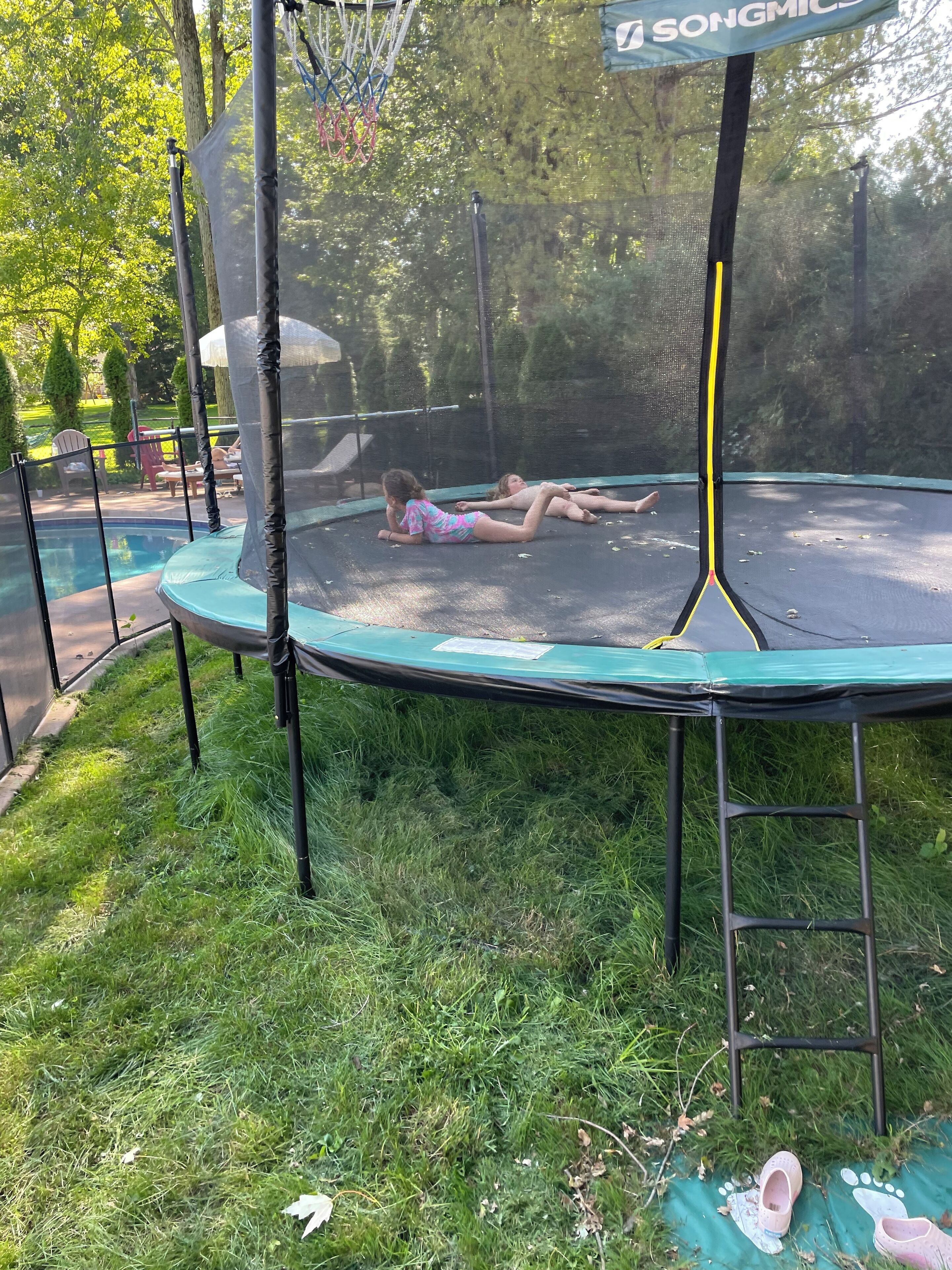 Un trampolín en un patio trasero con piscina y árboles al fondo.