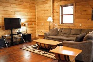 智能电视、壁炉、电子游戏、DVD 播放器