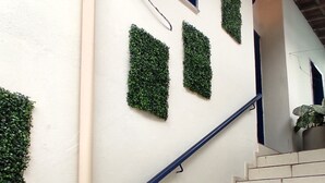 Un escalier avec des marches blanches et une rampe bleue, entouré de murs blancs ornés de plantes vertes.