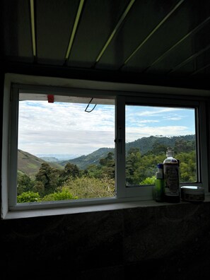 Deluxe Double Room | View from room