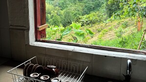 Eine Küche mit einem Fenster und Blick auf eine üppige, grüne Landschaft.