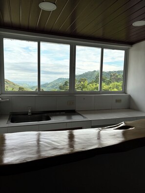 Family Room, Mountain View | View from room