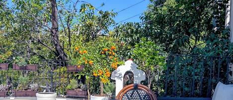 Udendørs spisemuligheder