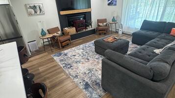 Smart TV, fireplace, books