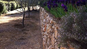 Un mur de pierre bordé d’un jardin où poussent des fleurs violettes et un sentier de terre.