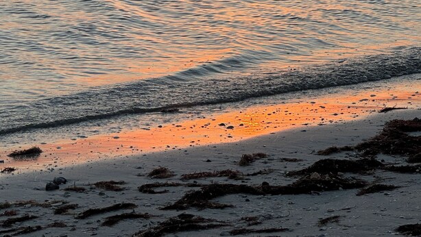 A sunset over a calm sea with a beach in the foreground. - Waterfront Snowbird retreat with screened-in lanai and heated pool! (Cape Coral)