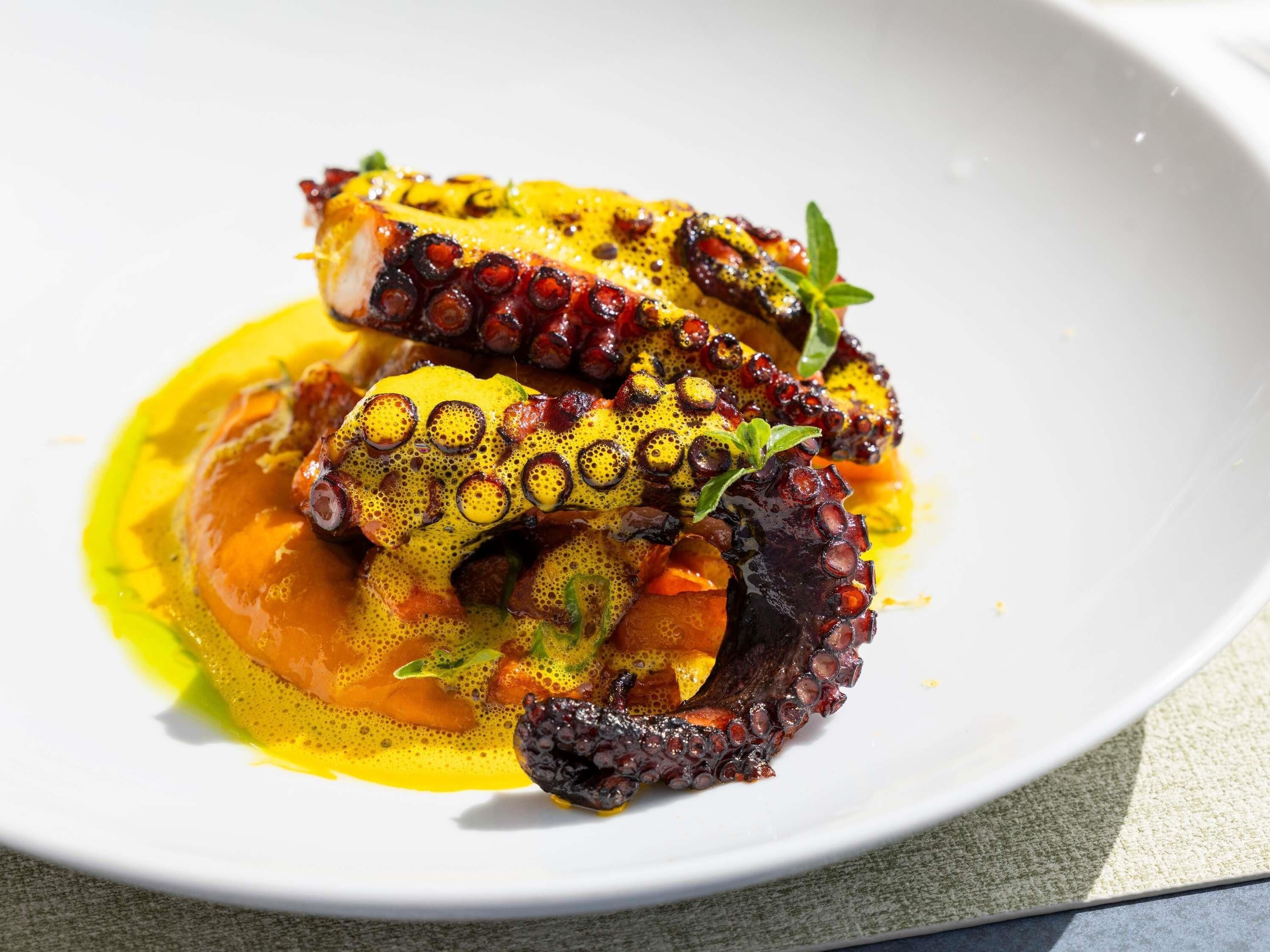A dish of octopus with a yellow sauce and herbs.