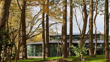A modern building with a glass facade surrounded by tall trees.