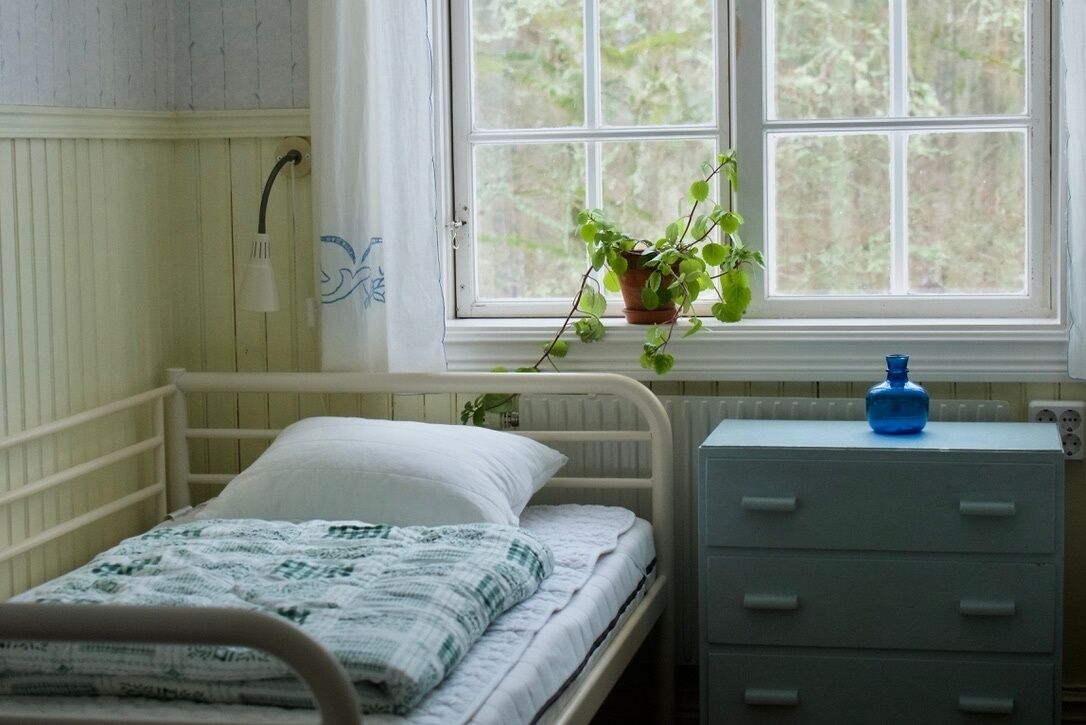 A single bed with a white headboard, a bedside table with drawers, a potted plant on the windowsill, and a window with a view of trees.
