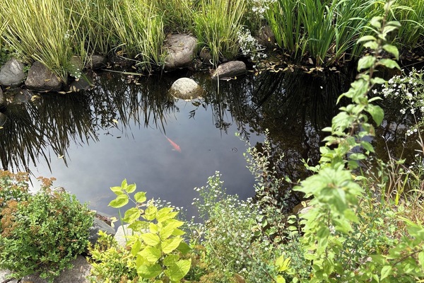 Àrea exterior de l'allotjament