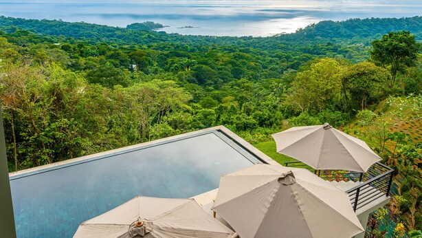 Une piscine à débordement située sur le toit, agrémentée de deux parasols, offrant une vue imprenable sur un paysage verdoyant et l’océan.