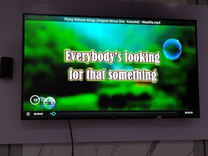 Television