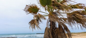 Ideal house, residence full security for kids. Private beach and swimming pool.