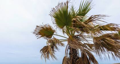 Ideal house, residence full security for kids. Private beach and swimming pool.