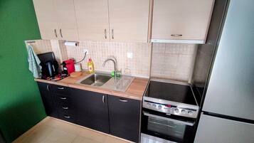 Fridge, oven, coffee/tea maker, electric kettle