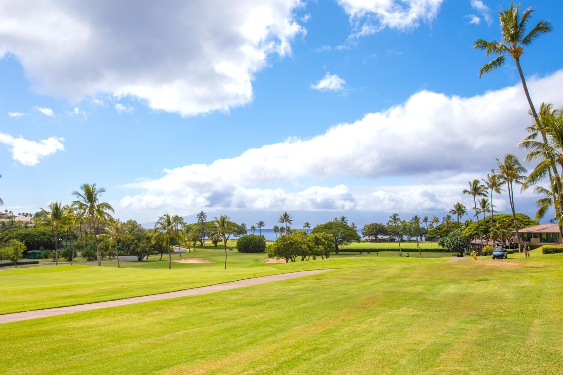Um campo de golfe com céu claro, palmeiras e vista distante para um corpo de água.