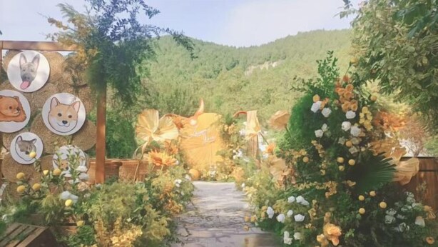 A garden pathway with a rustic wooden archway, surrounded by lush greenery and flowering plants. - Bei Long Garden Hotel (Qingzhou)