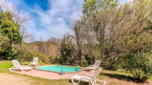 Una piscina con cuatro sillas reclinables blancas dispuestas alrededor, rodeada de follaje y árboles.