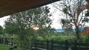 A view of a lush garden with a wooden fence, a red bird, and a banana plant. - Rancho Ventura (Filandia)