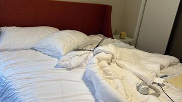 2 slaapkamers, een strijkplank/strijkijzer, gratis wifi, beddengoed