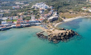 Lettini da mare