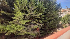 A balcony with a view of dense green trees and a building with multiple stories in the background. - Appartamenti Abate Perla del Golfo Home (Alcamo)