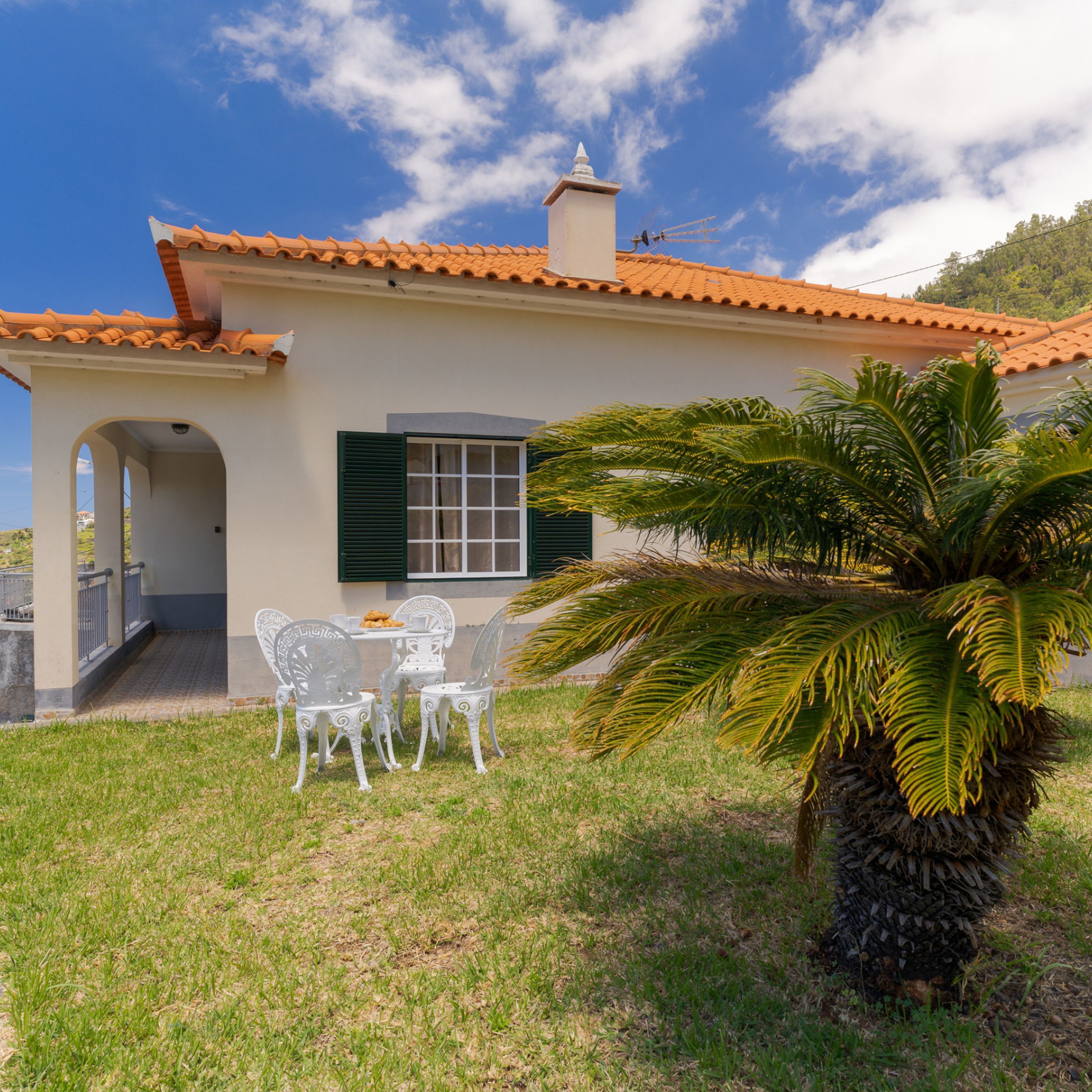 Una casa con techo de tejas, una ventana con contraventanas y una palmera en el jardín delantero.