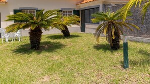 Een huis met een pannendak, twee palm bomen en een gazon.
