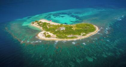 Expansive Paradise with Private Jacuzzi and Tropical Patio