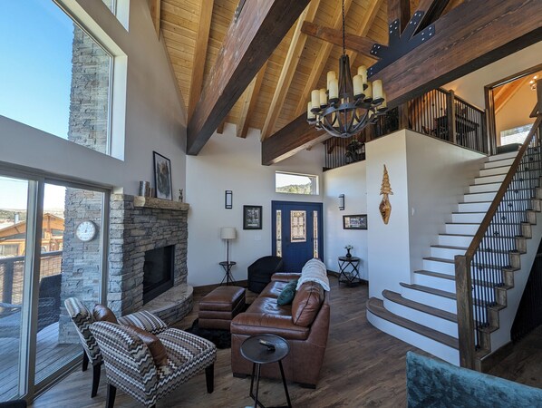 TV connectée, cheminée, lecteur de DVD, livres