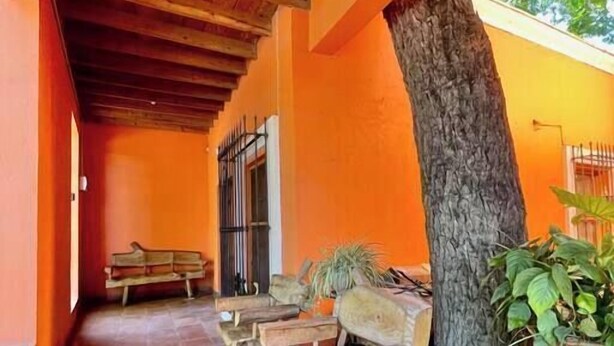 A covered outdoor area with wooden benches and a large tree. - Casa en Parras de la Fuente (Parras de la Fuente)