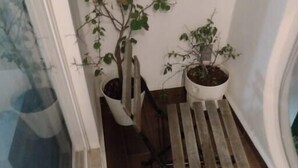 A corner of a room with a wooden floor, a white wall, and two potted plants. - Departamento en Tequesquitengo (Tequesquitengo)