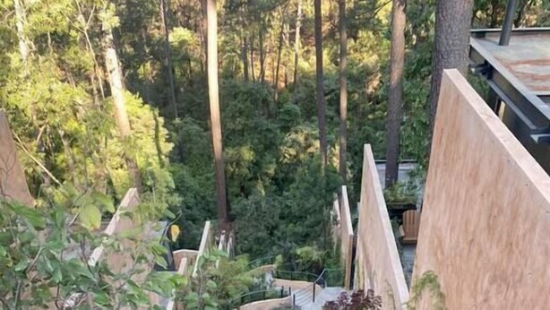 A stone pathway winding through a lush garden with various plants and trees.