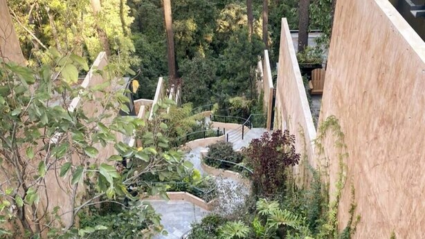 Un jardin luxuriant avec un sentier en pierre, entouré d’une végétation dense et de grands arbres.