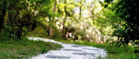 A pathway with stepping stones surrounded by greenery.