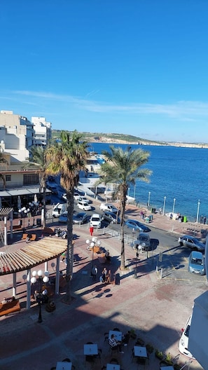 A coastal area with parked cars, palm trees, and a view of the sea.