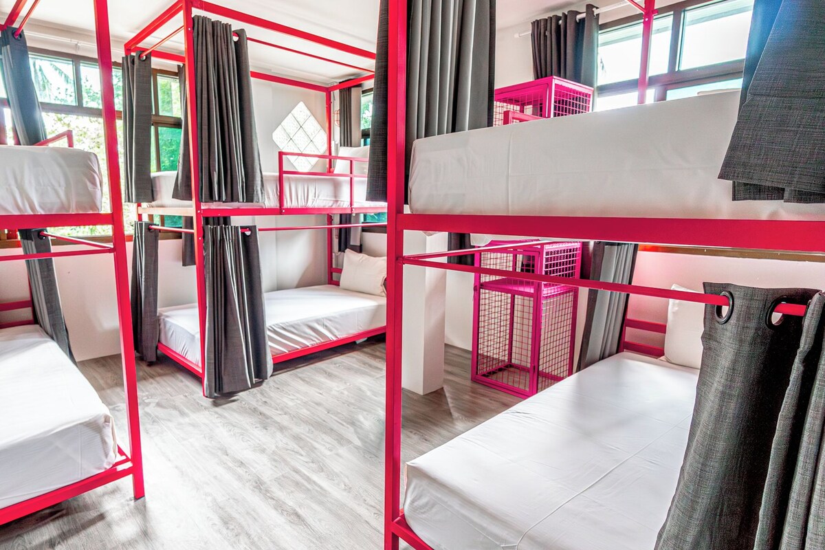 A dormitory room with bunk beds, a window with curtains, and a red metal frame.